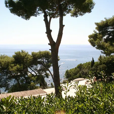 Terrace *
